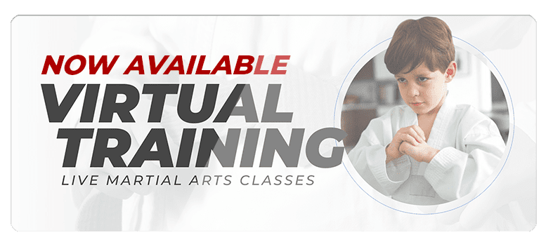 VIRTUALPOPUPSPARK.1.1, New Era Martial Arts Maryville Tennessee