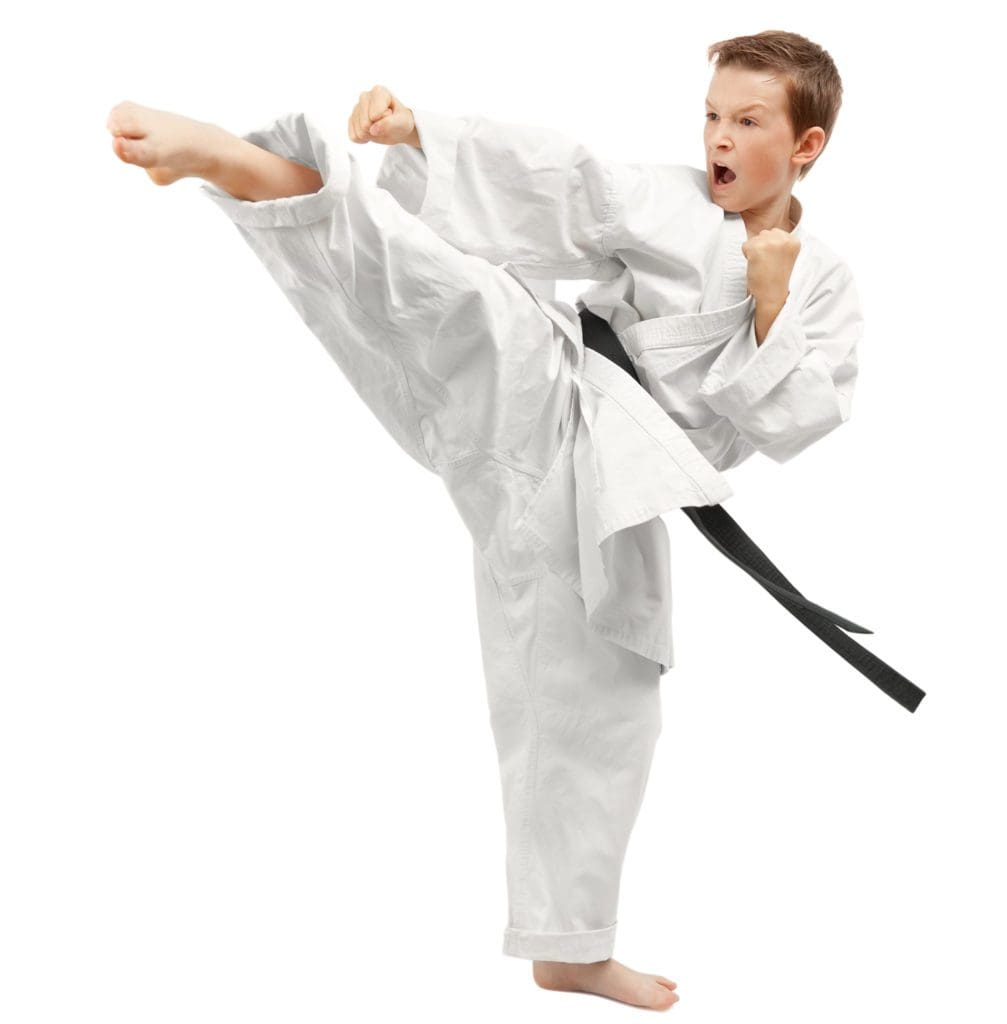 kids martial arts in lakeville