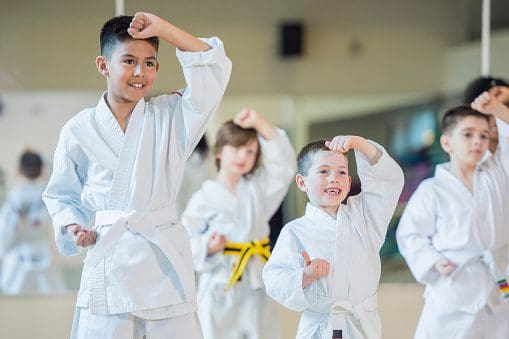 Martial Arts for Kids in lakeville
