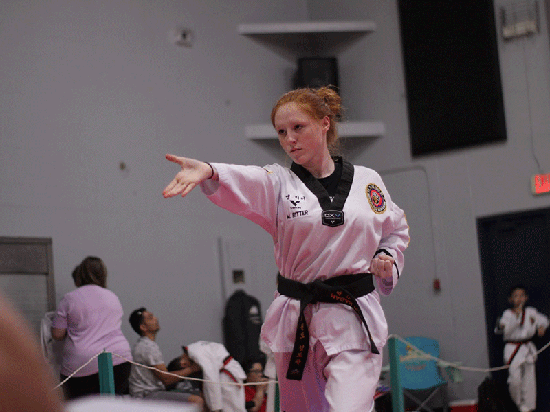 adult martial arts in lakeland
