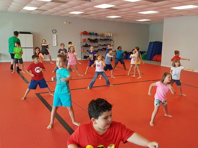 kids martial arts classes in houma