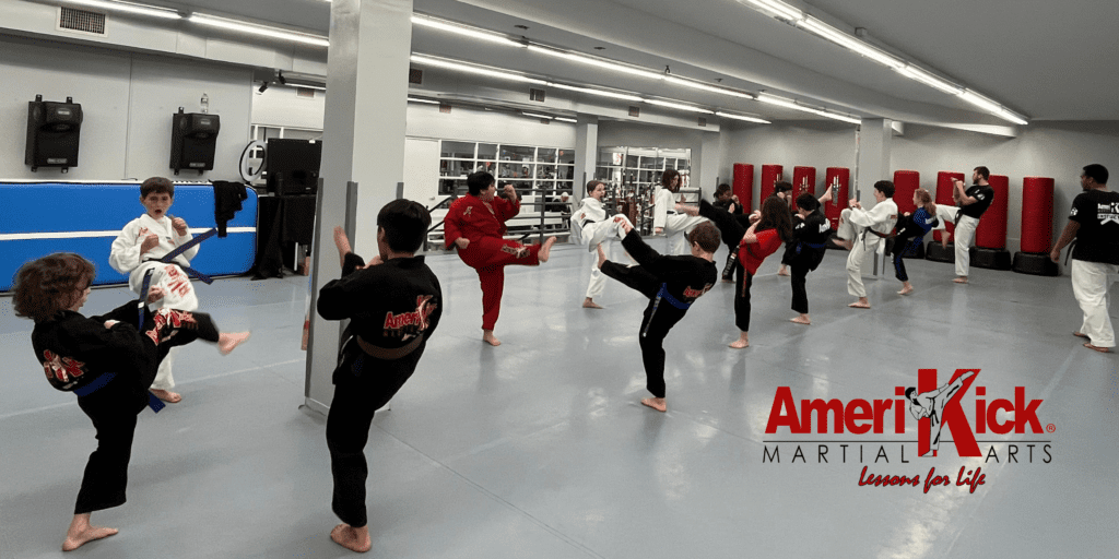 Blog Banner 1024x512, Amerikick Martial Arts (Park Slope) in Brooklyn, NY