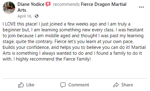 Adult2, Fierce Dragon Martial Arts Academy Whitestone NY
