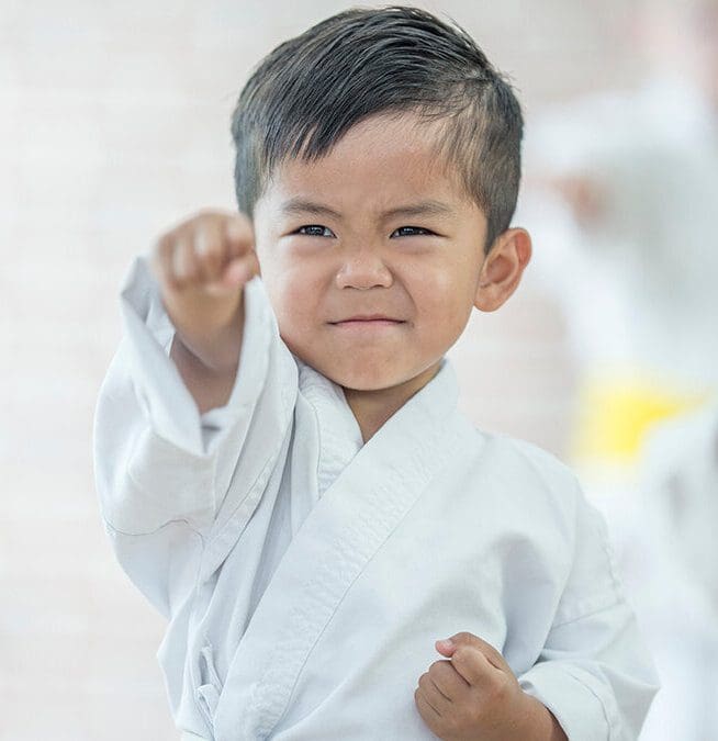 Scale 1200 1, Active Jiu Jitsu Westchase TX