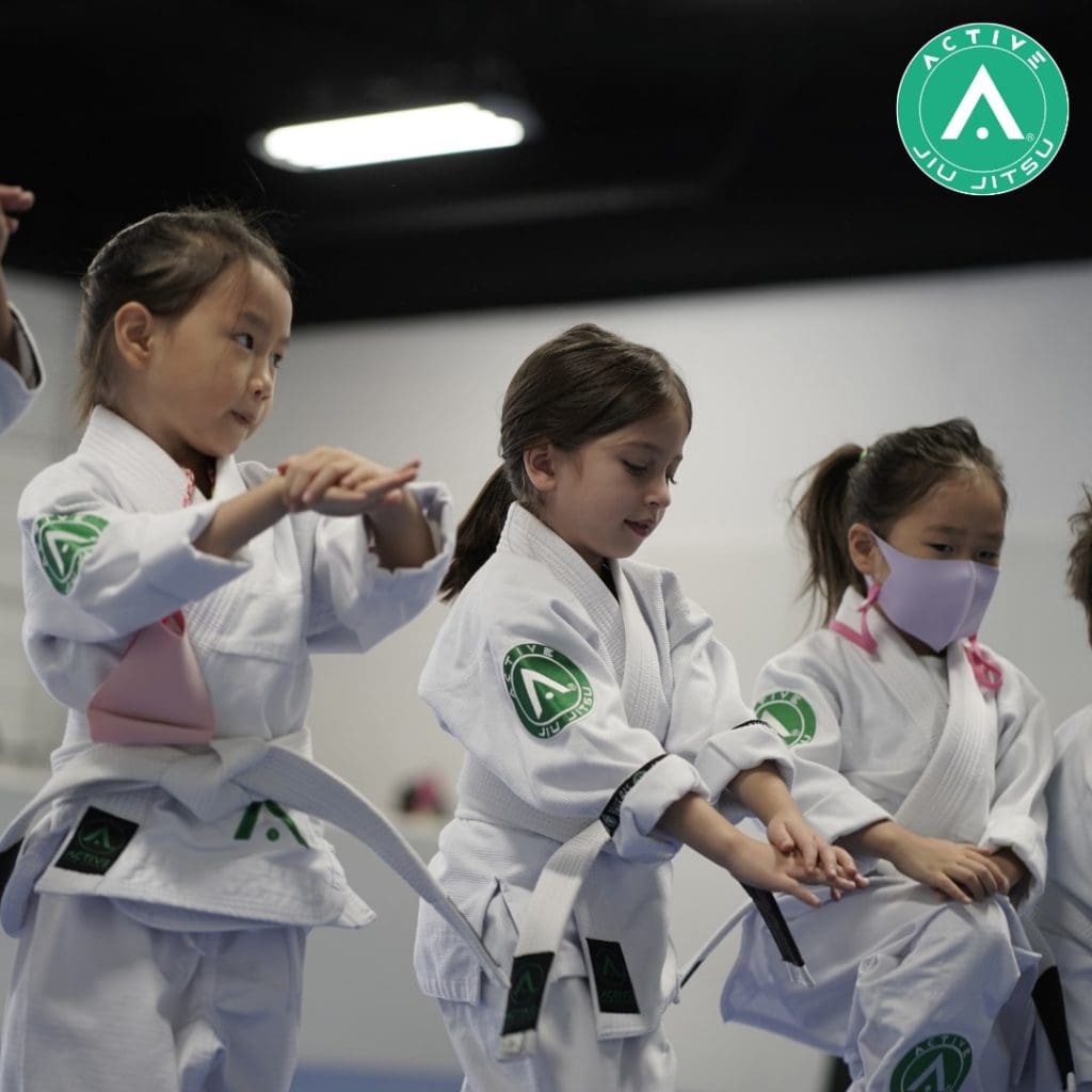 Tips To Reduce Anxiety 1024x1024, Active Jiu Jitsu Westchase TX