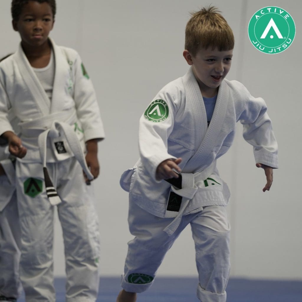 Reducing Ma 1024x1024, Active Jiu Jitsu Westchase TX