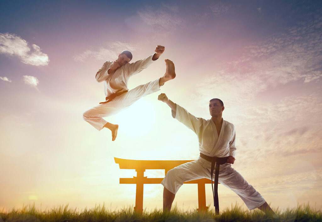 HP BG 31 1024x706, Elite Martial Arts Kirkland WA