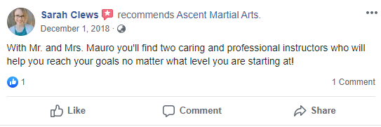 Adult 4, Ascent Martial Arts in Wilsonville, OR
