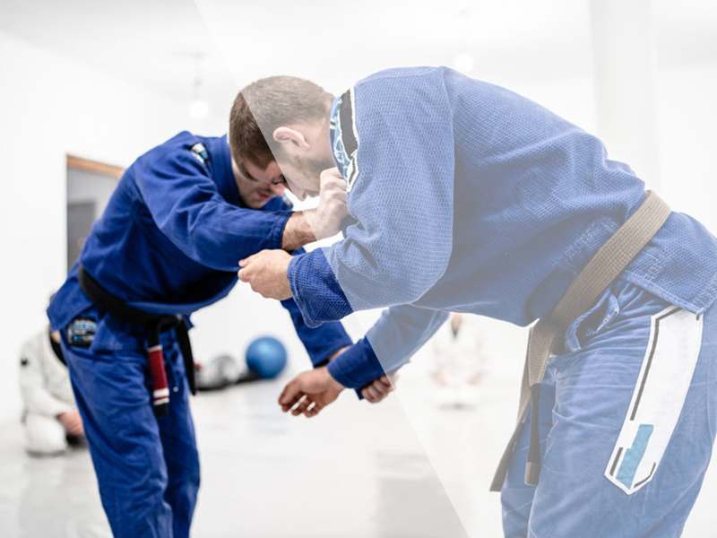 Virtual Adult Jujutsu Class